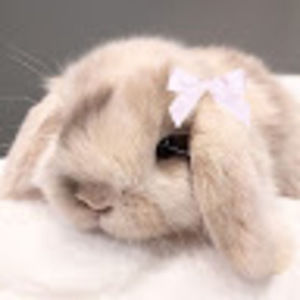 Meet your Posher, Adriiana